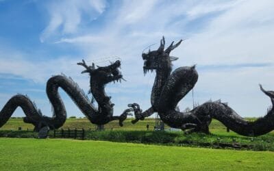 Is Korean rice healthy?