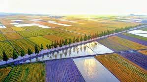 한국 쌀 브랜드 추천 순위 2025 BEST 6